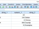 Spss String Variables Quick Introduction