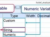 Spss Inspecting Variable Types String Or Numeric
