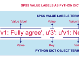 Spss Edit Value Labels With Python