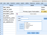 Spss Syntax A Quick Introduction
