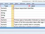 Spss Data Editor Window Basics Tips Tricks