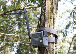 Spypoint – Can I use the CELL-LINK with my cellular camera?