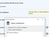 How To Backup Sql Server Databases On Windows Sqlbak Blog