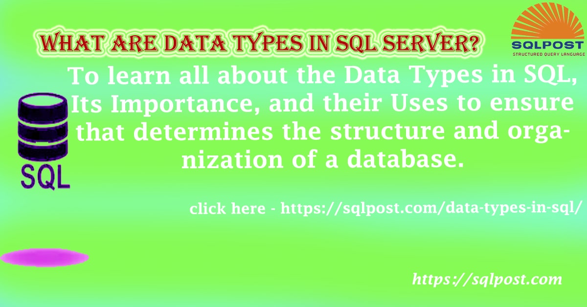 Read more about the article What are Data Types in SQL Server?