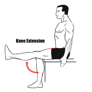 Knee Extension