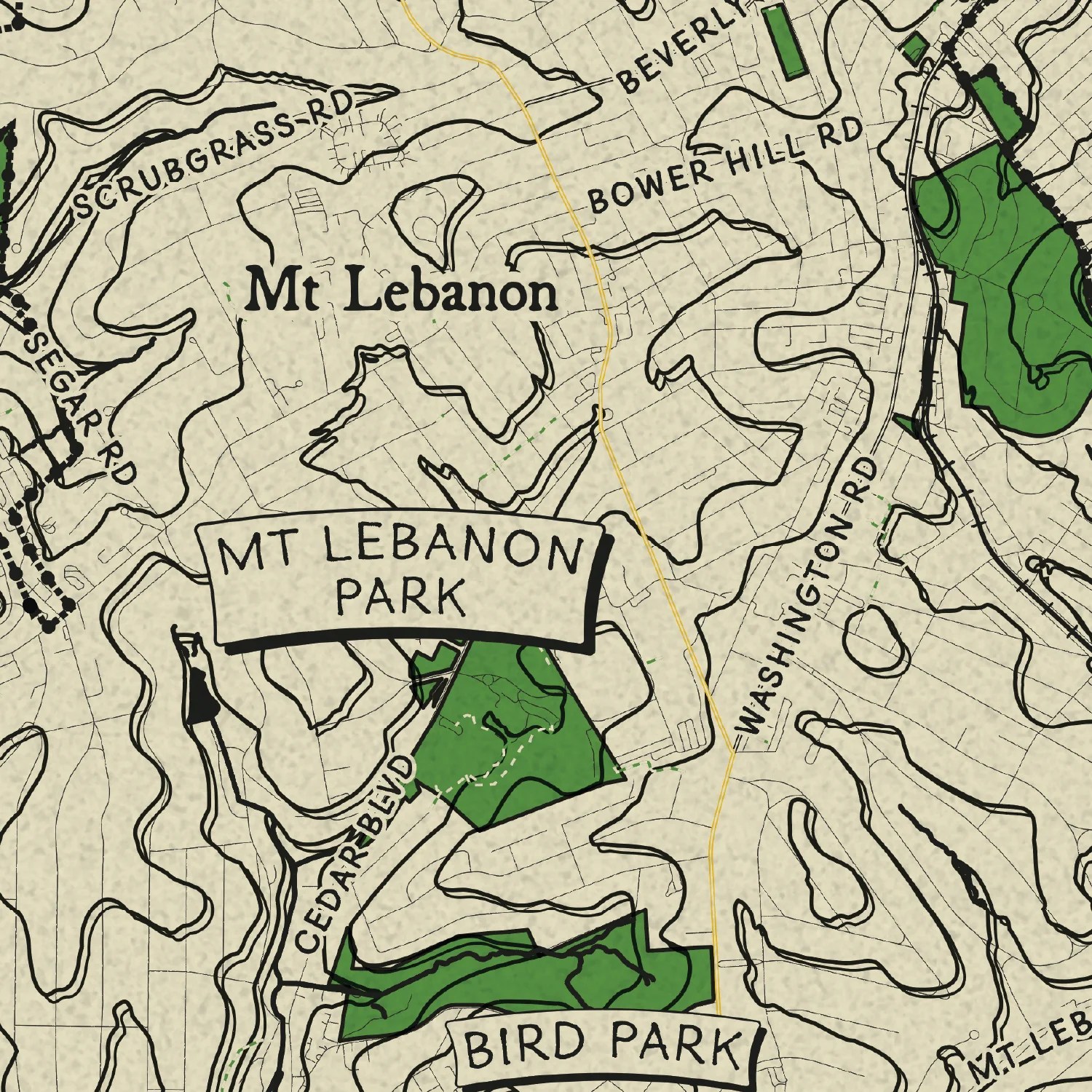 Mt Lebanon Township Topographic Map Print 