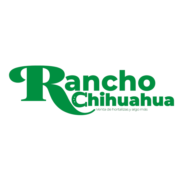 Crecer y hacer dinero con nuestra Agencia de Marketing