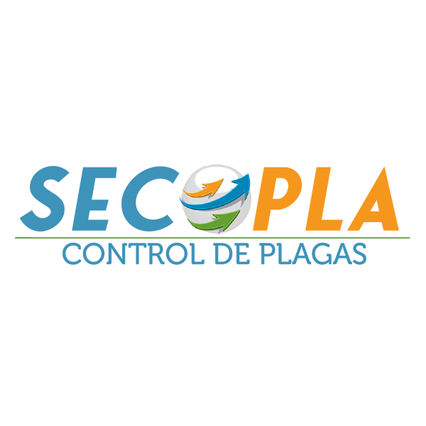 Crecer y hacer dinero con nuestra Agencia de Marketing