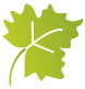 analyses petiolaires