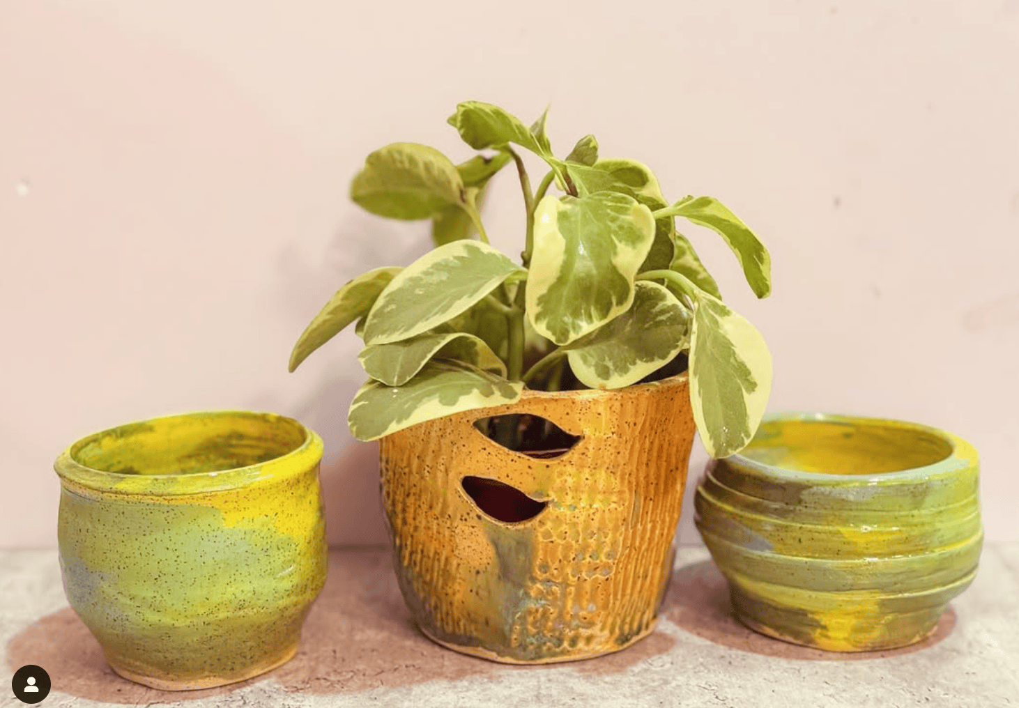 Sun-Kissed Earth:  Planters