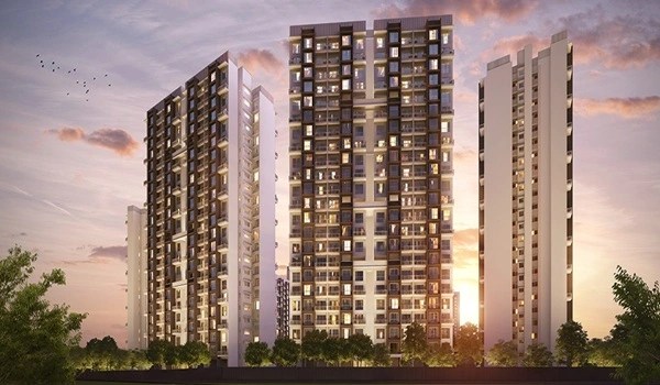 Project Highlights – Iconic Live Elevated