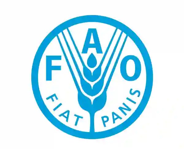 FAO-WebP
