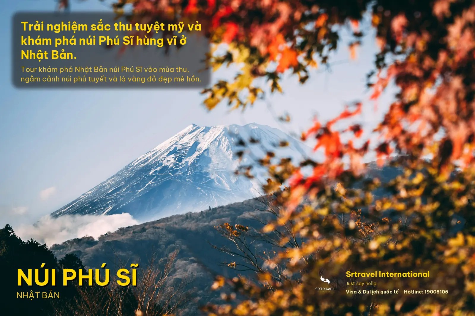 Chương Trình Du Lịch Nhật Bản 2026 Núi Phú Sĩ – Tokyo City Tour