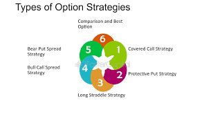 6. Option Strategies Module