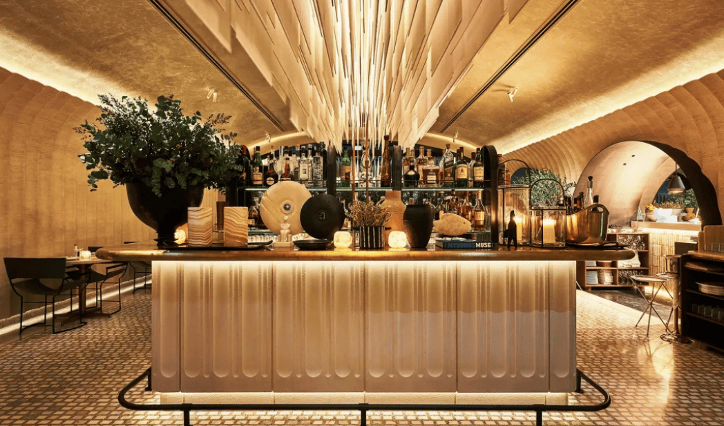 tasha’s group south african hospitality firm