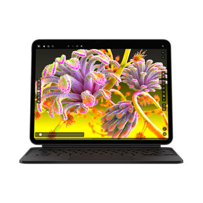 Buy Ipad Pro 13 Inch M4 Price Colors Reviews Verizon