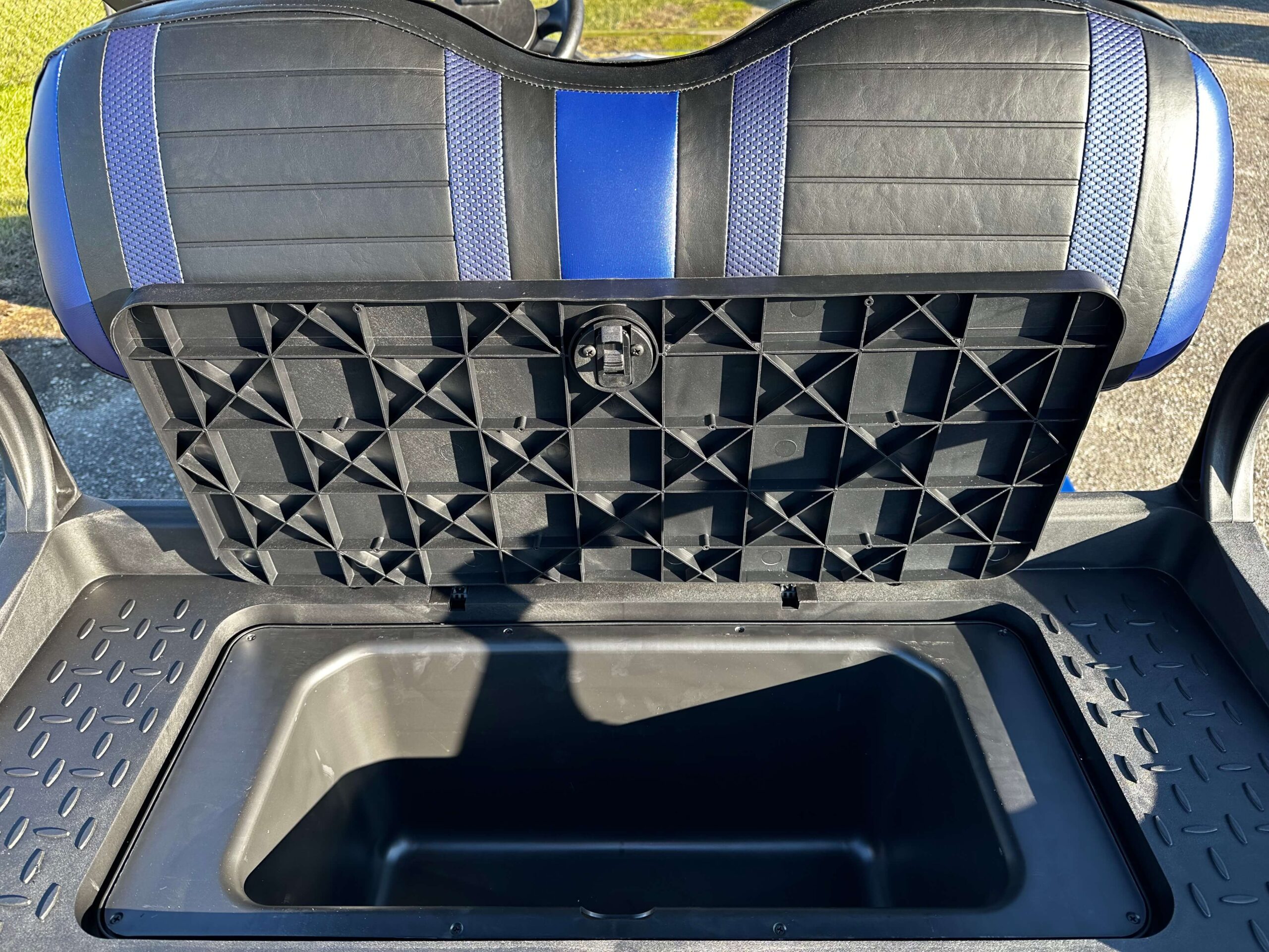EZGO RXV photo 5
