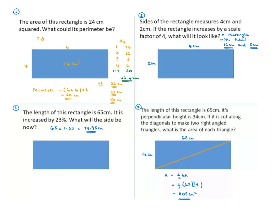 Rectangles 4 – SSDD Problems
