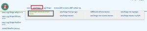Birth Certificate Application Status 