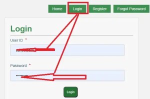 tin-certificate-check-online-bangladesh