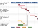 Ssi Presentation Professional Make Easy Schedule Presentations
