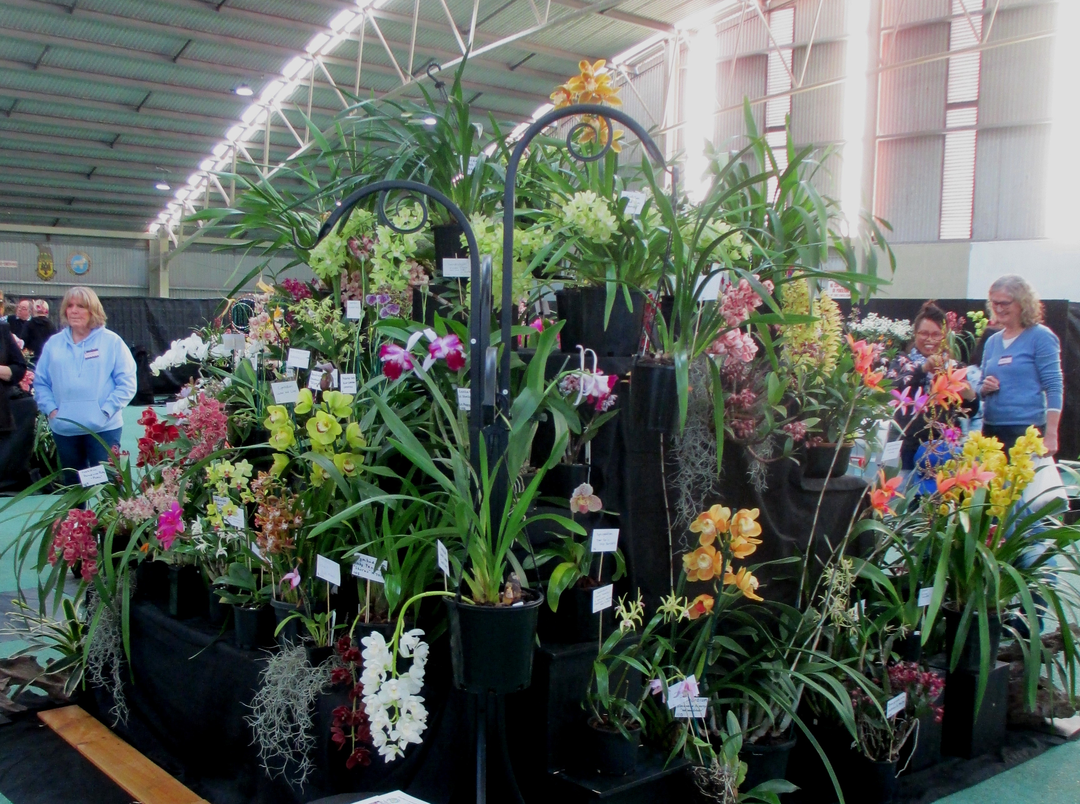 SSOS at OSCOV Show -Melbourne Extravaganza 2023