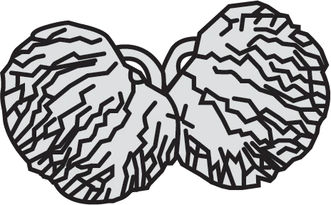 Pom Pom Insert Ssr Jackets Patch Store