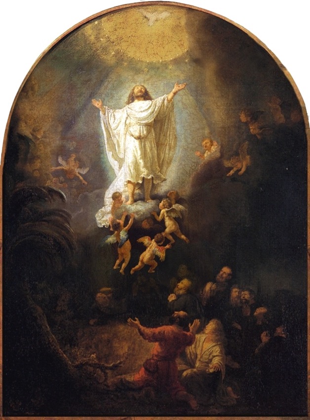 image-4