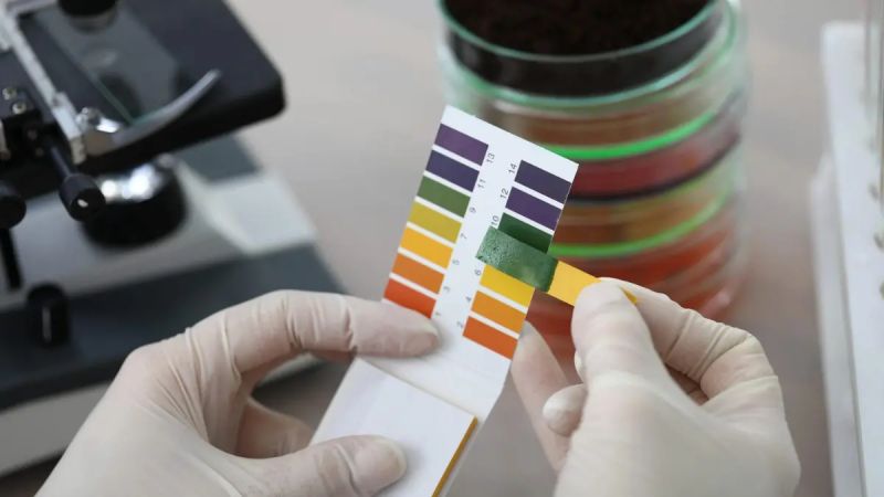 Difference Between Acid And Base - Elegant Mobile Minimal Illustrations | Free Download