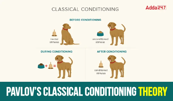 Solution Classical Conditioning By Ivan Pavlov Learning Theory Studypool - Professional Ocean Texture - Full HD