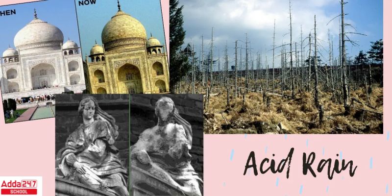 How Acid Rain Effects Soils Infogram - Premium Mobile Abstract Designs | Free Download