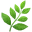 🌿