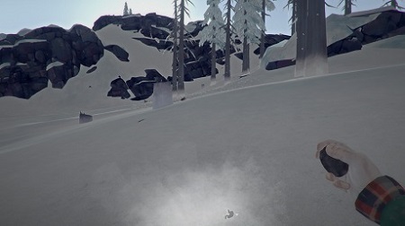 Обзор на The Long Dark — Прохождение и системные требования. The Long Dark: обзор игры