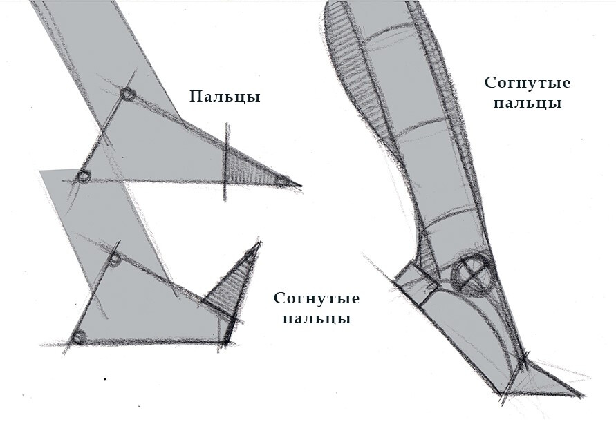 как рисовать стопы ног