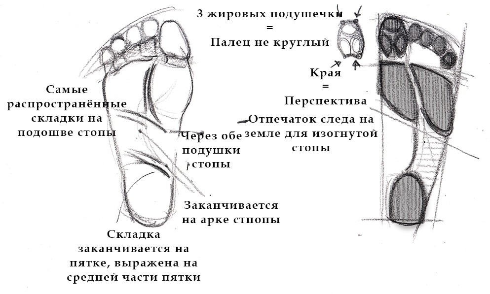 как рисовать ноги сидя