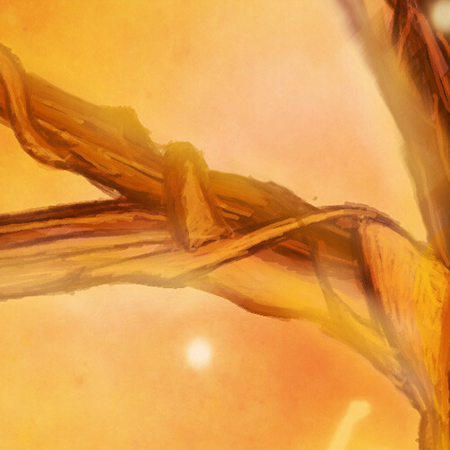 как рисовать в фотошоп для начинающих