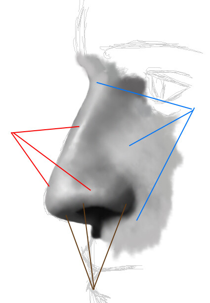 как нарисовать нос новичку