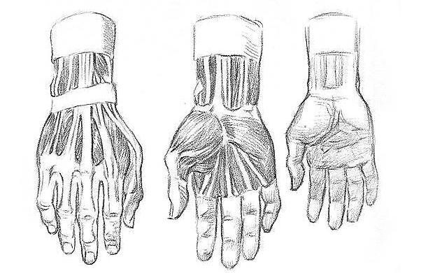 как рисовать руки в разных положениях