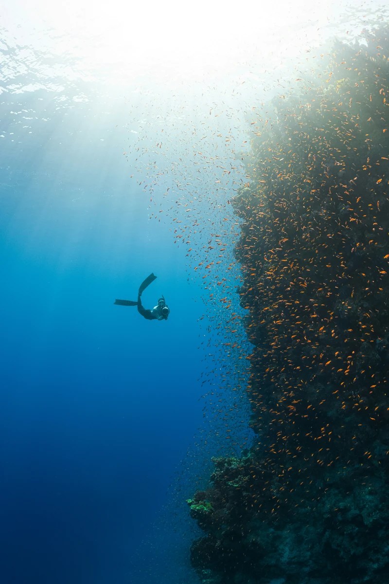 comprehensive assessments of marine environments