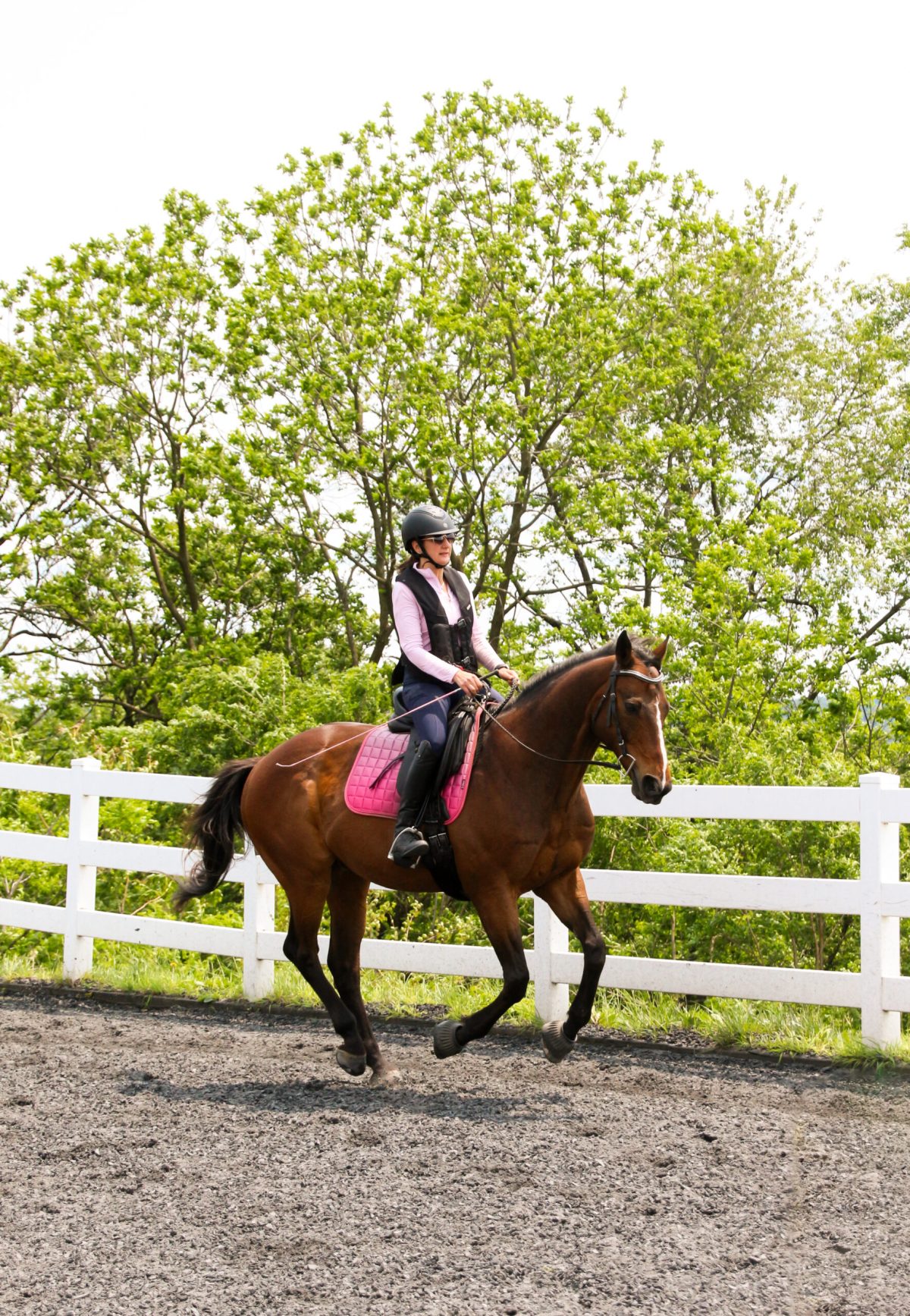 Mindset & Riding Intensives for Equestrians Mindset & Riding Intensives for Equestrians