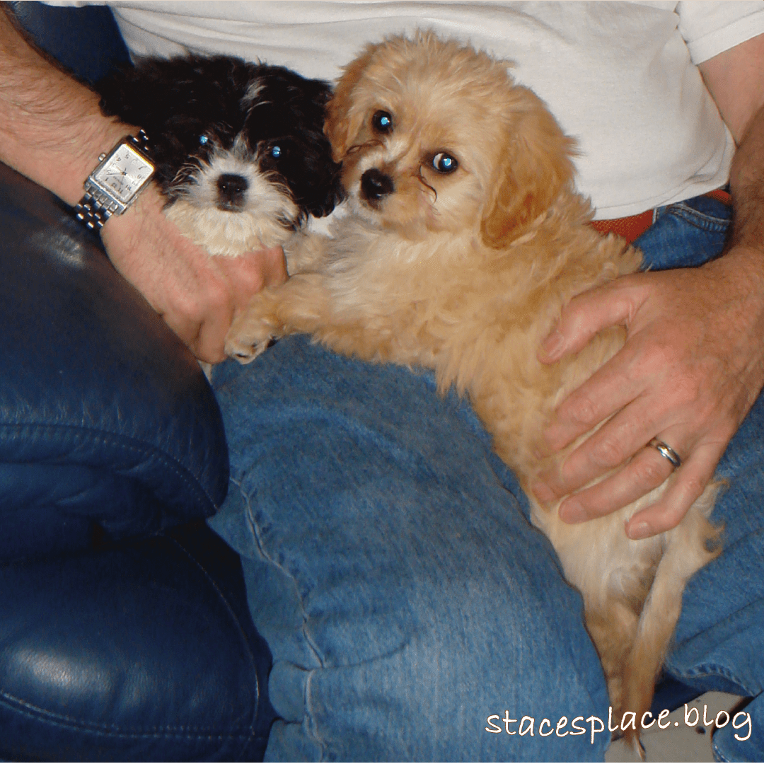 Rosie finds her favourite cuddle position