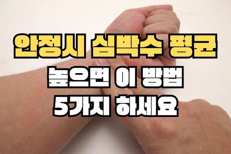 안정시 심박수 평균 측정하는 손