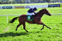 Galkina - Listowel