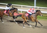 Zihba winning at Dundalk