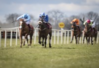 liex Excelsa winning at Cork
