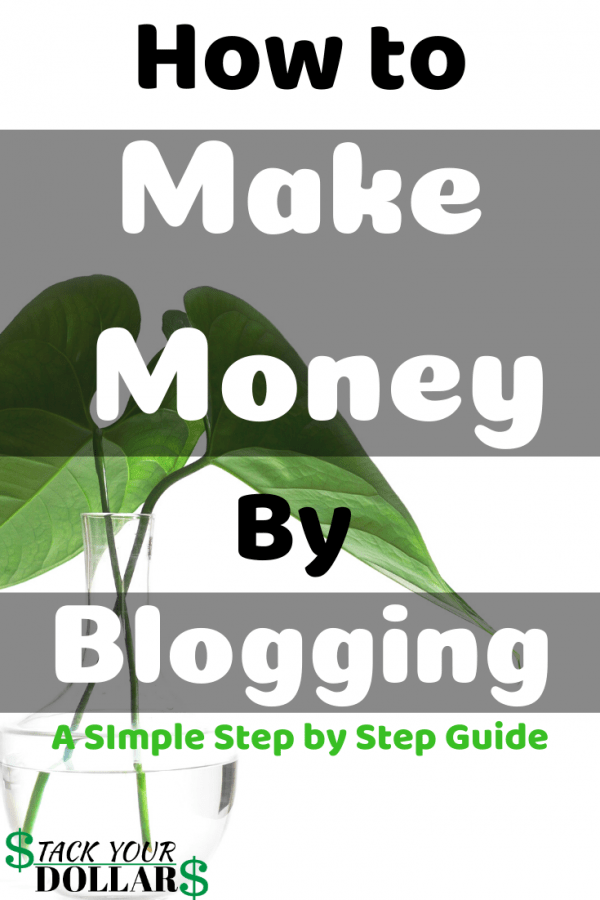 Can You Make Money By Blogging? A How To Guide Pin