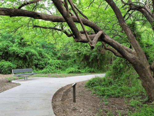 Frisco Texas Park with Benches and Trees