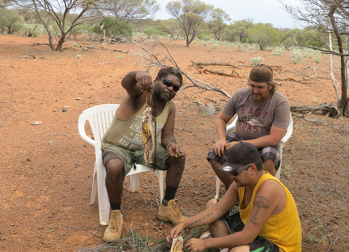 What a moment! Offered goanna meat for the first time