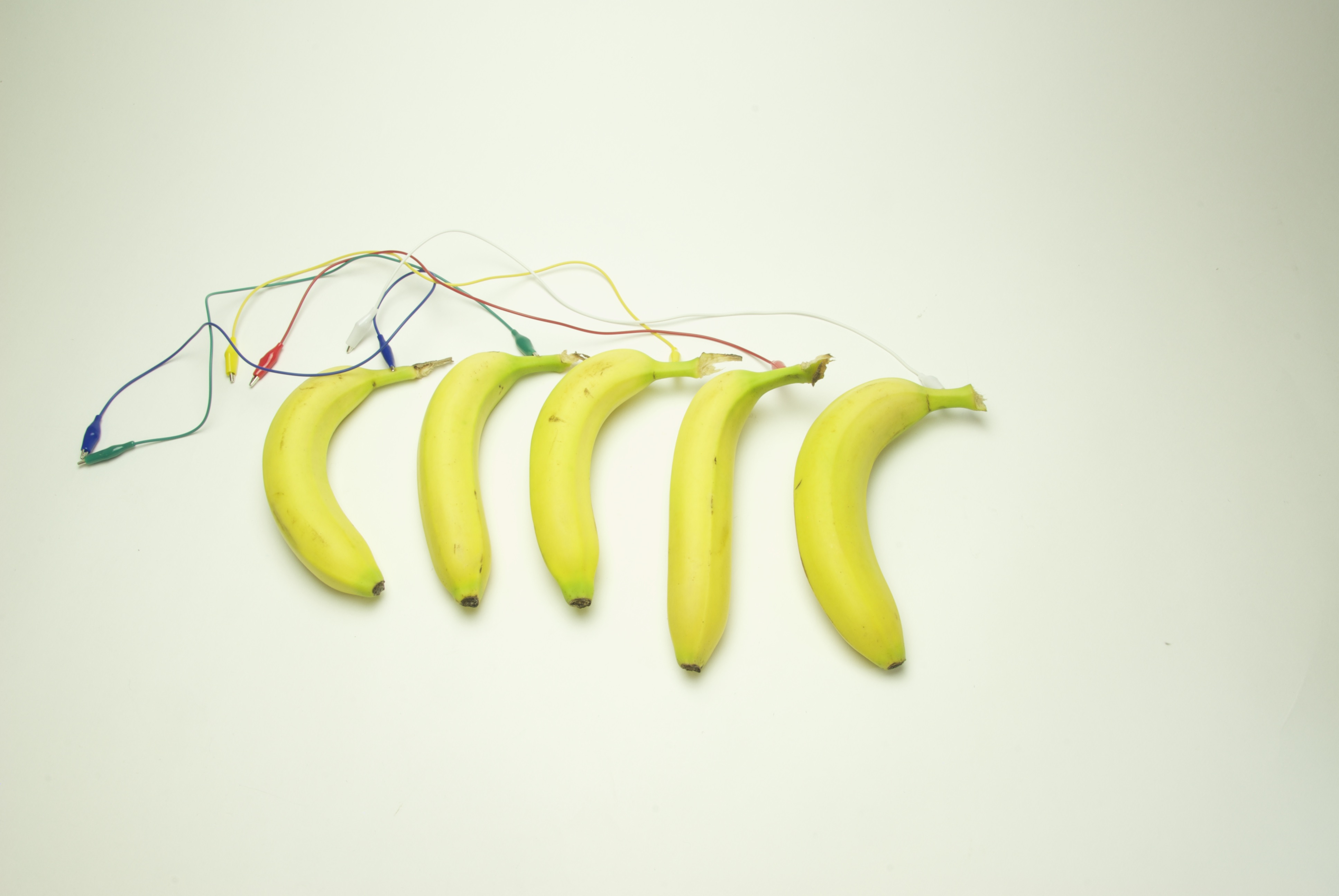 Project step photo 2