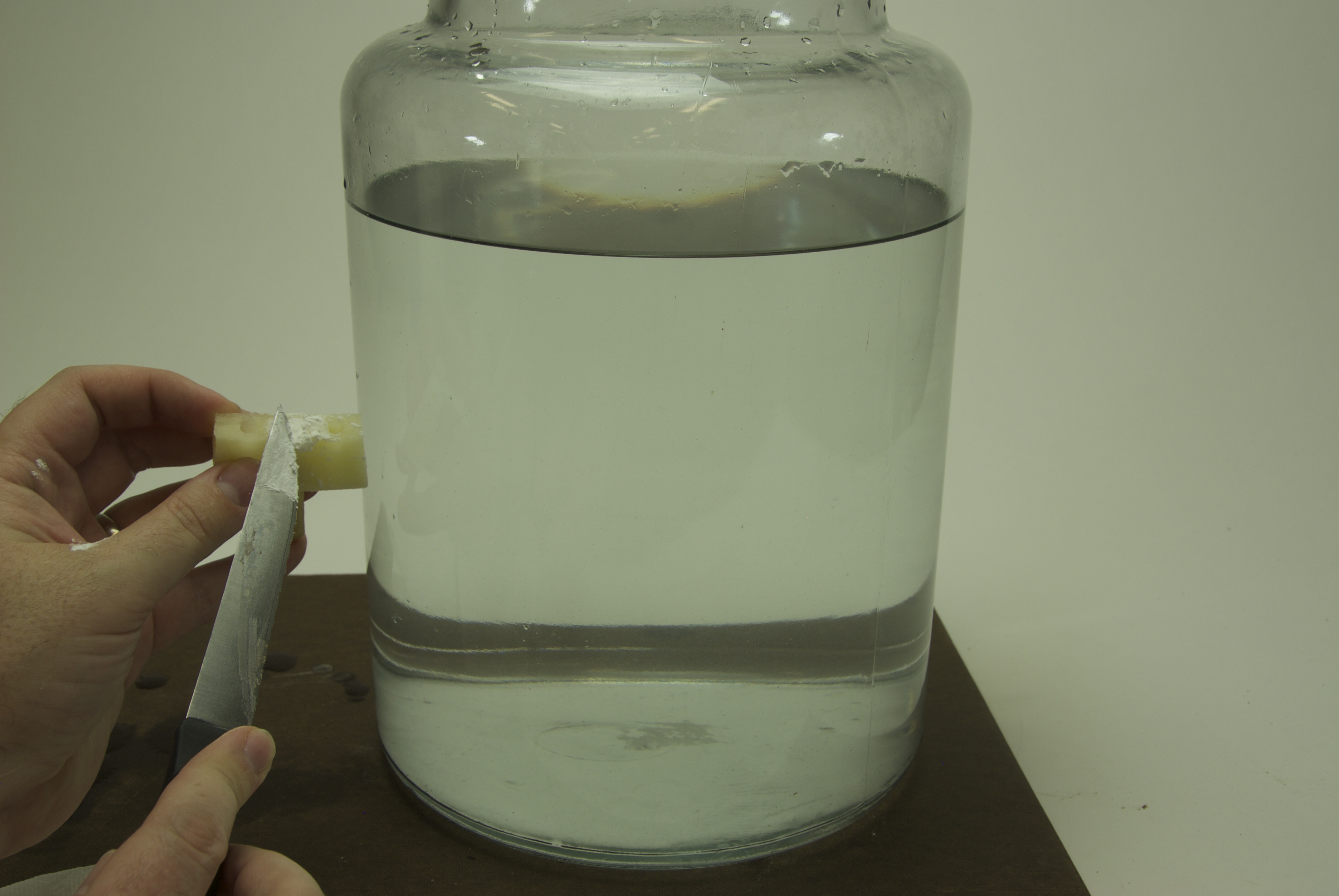 Project step photo 2